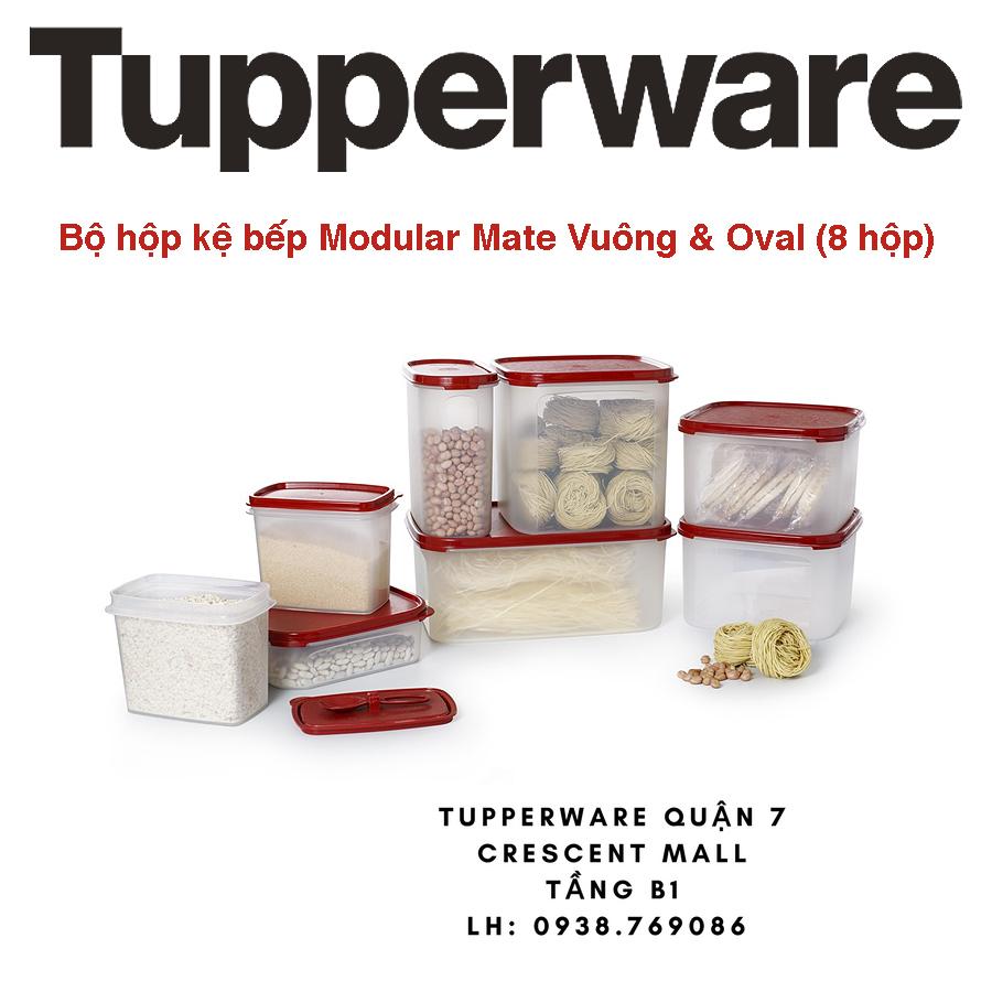 Bộ hộp kệ bếp Modular Mate Vuông & Oval (8 hộp) + SET QUÀ TẶNG HẤP DẪN