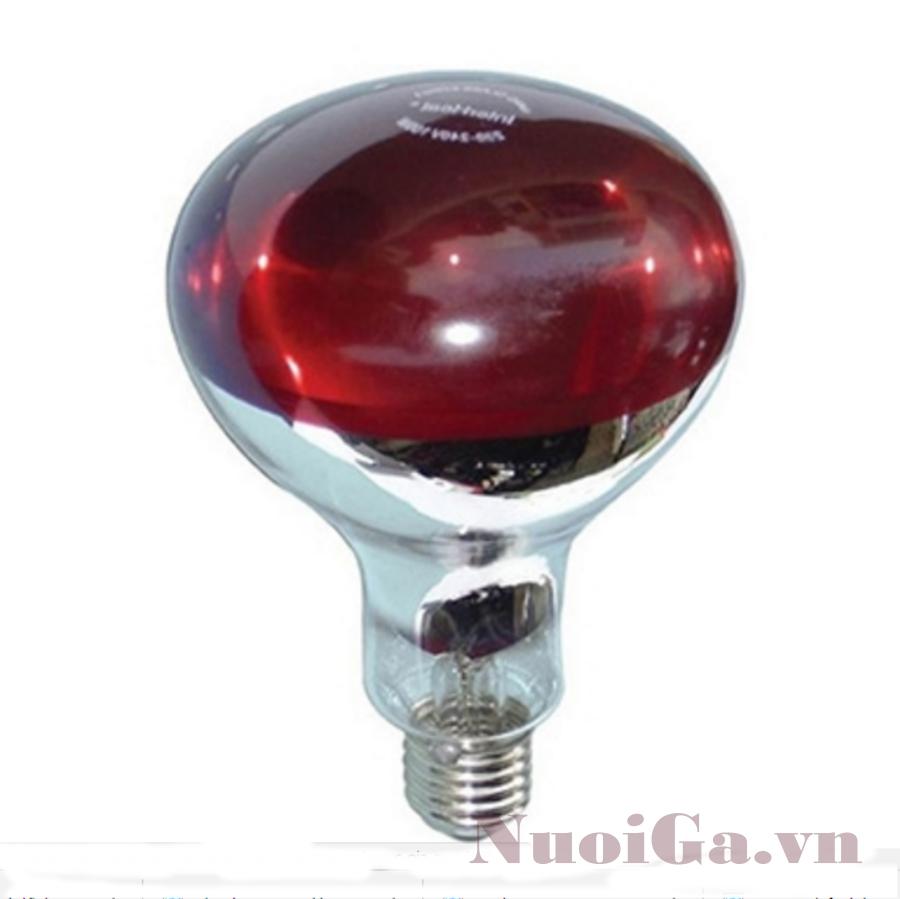 10 bóng úm gà hồng ngoại bé
