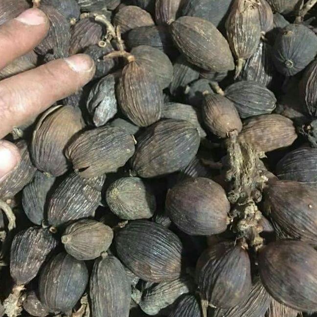 Thảo quả khô 1kg.