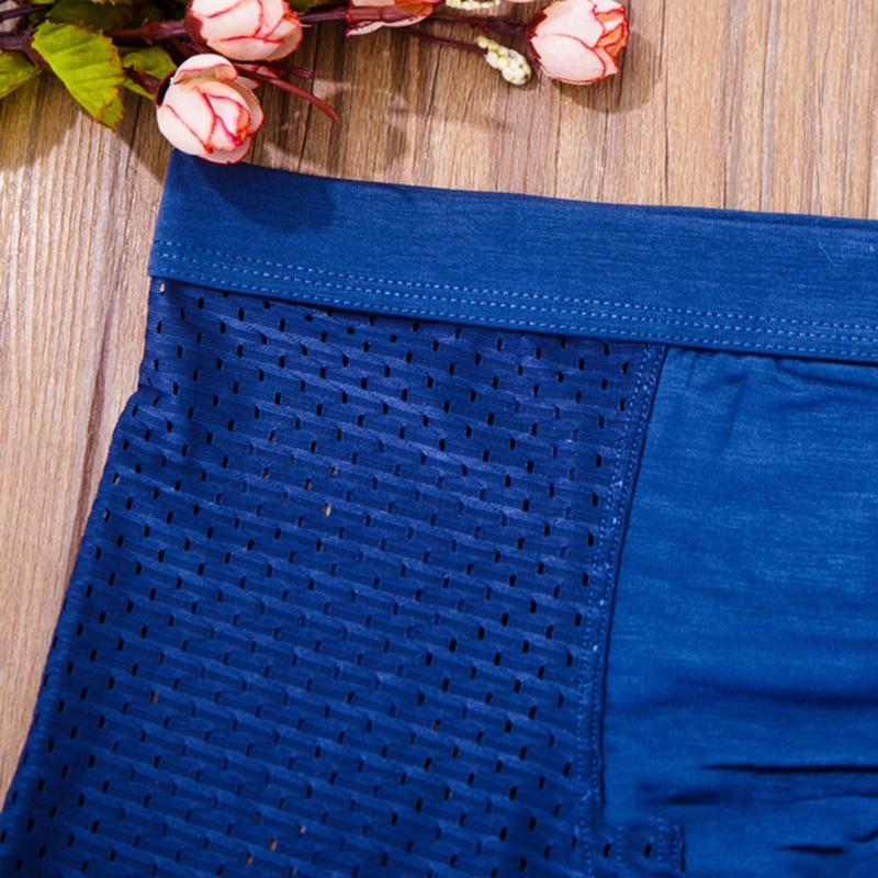 Combo 5 quần sịp đùi thông hơi bs1700