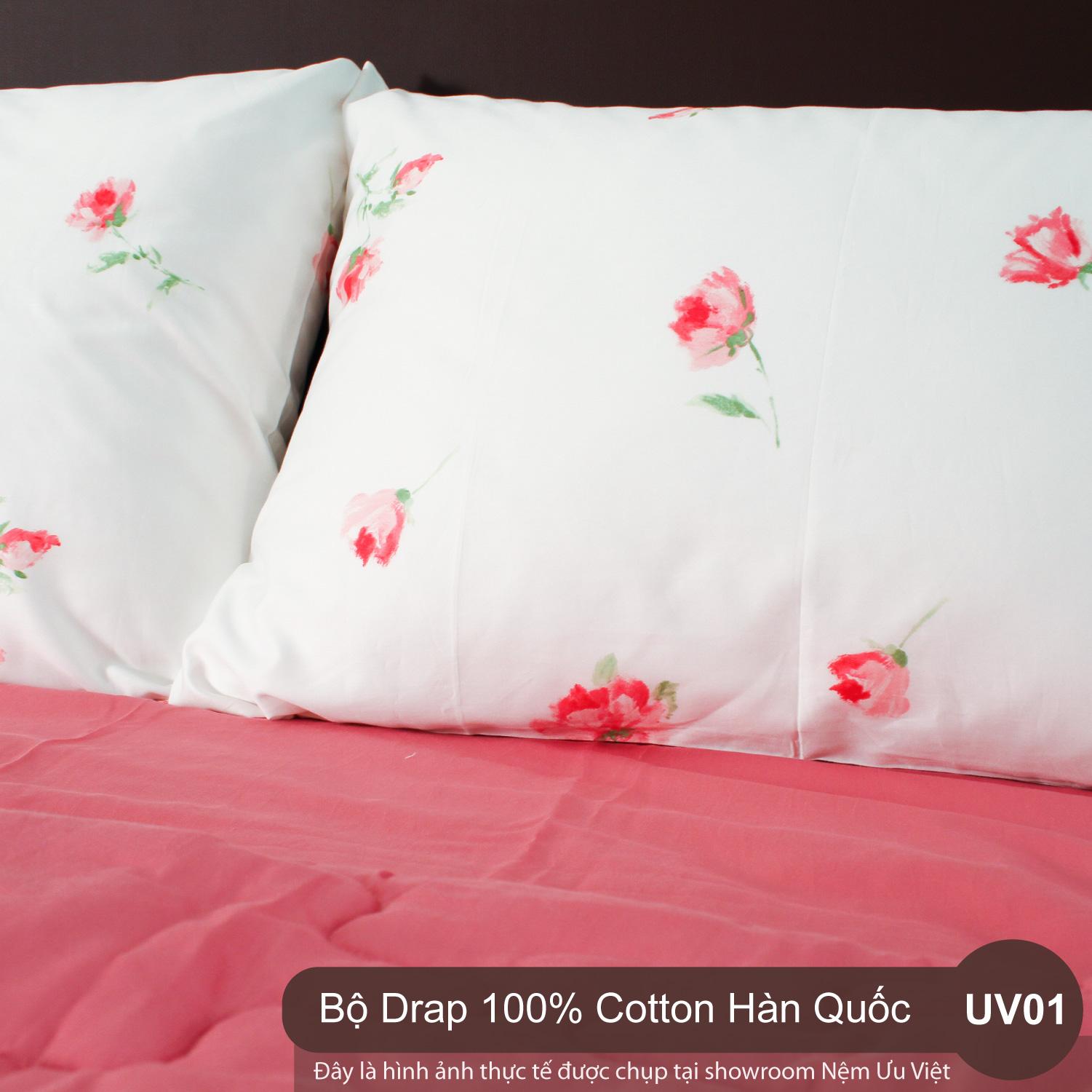 Bộ chăn drap 100% cotton Hàn Quốc UV01 (1m8x2m0)