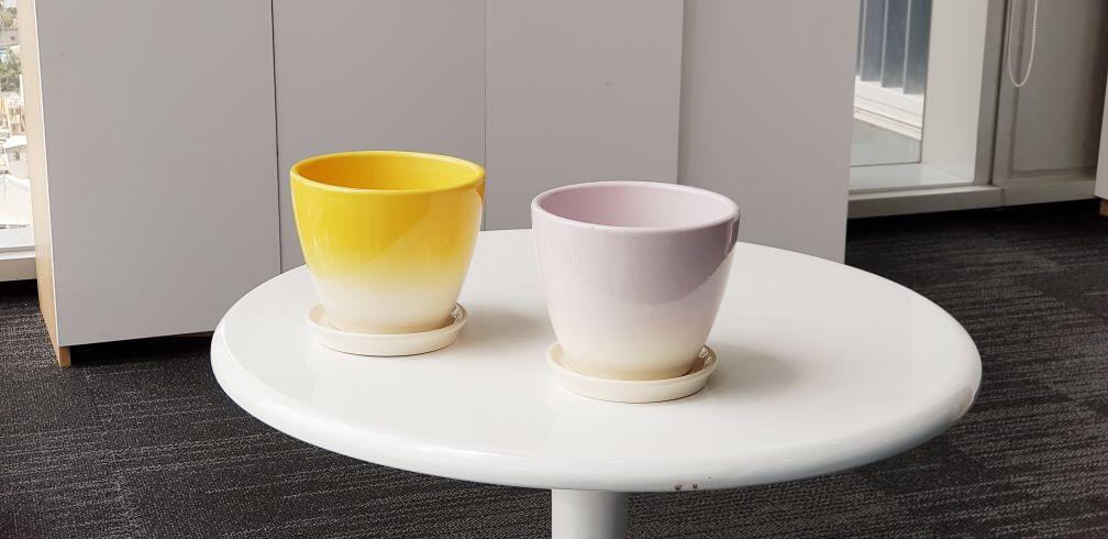 Chậu sứ Oval D15 x H13.5 cm