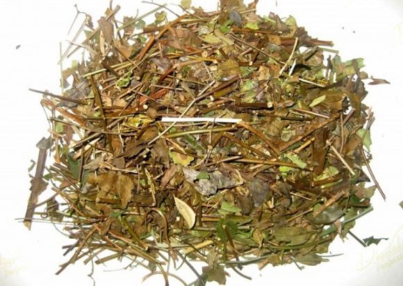 Trà Lá Vằng Lợi Sữa