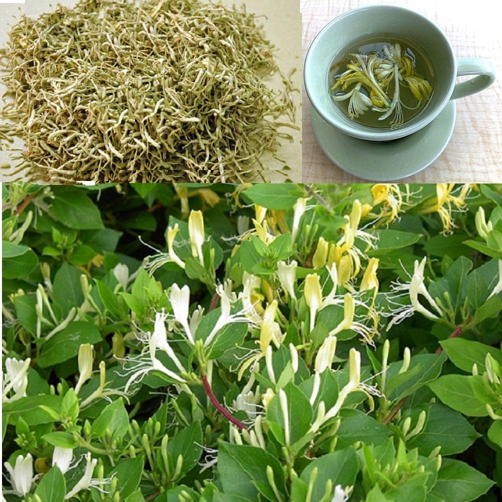 Trà kim ngân hoa - thảo lộc 3 túi mỗi túi 100g