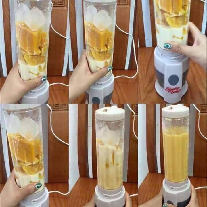 Máy xay sinh tố shake n take cao cấp (loại 2 cối)