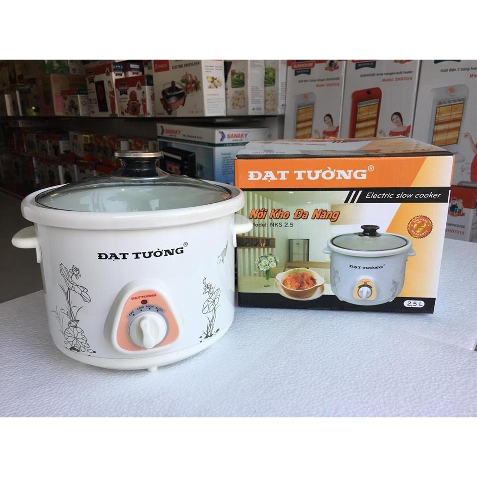 Nồi Đạt Tường hầm cháo, nấu chậm,kho cá đa năng 2.5 lít