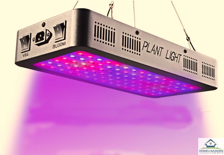 Đèn LED trồng cây trong nhà đủ phổ 300w Super Growth