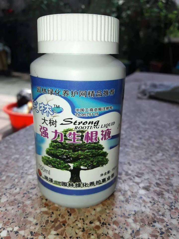 [hỗ trợ vc] KÍCH RỄ ĐÀI LOAN CHO LAN VÀ CÂY CẢNH, Nhúng kích ra rễ cành giâm, thoa vào chỗ chiết để kích thích ra rễ, ngâm hạt giống để kích thích nảy mầm, phun lên lá, giúp lá lớn, chống rụng hoa.