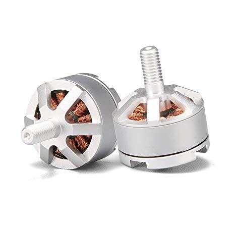 Bộ 2 Motor thuận nghịch cho Flycam Bugs 5w