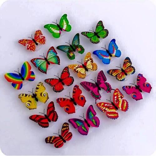 Bộ 10 bướm phát sáng trang trí nhiều màu sắc