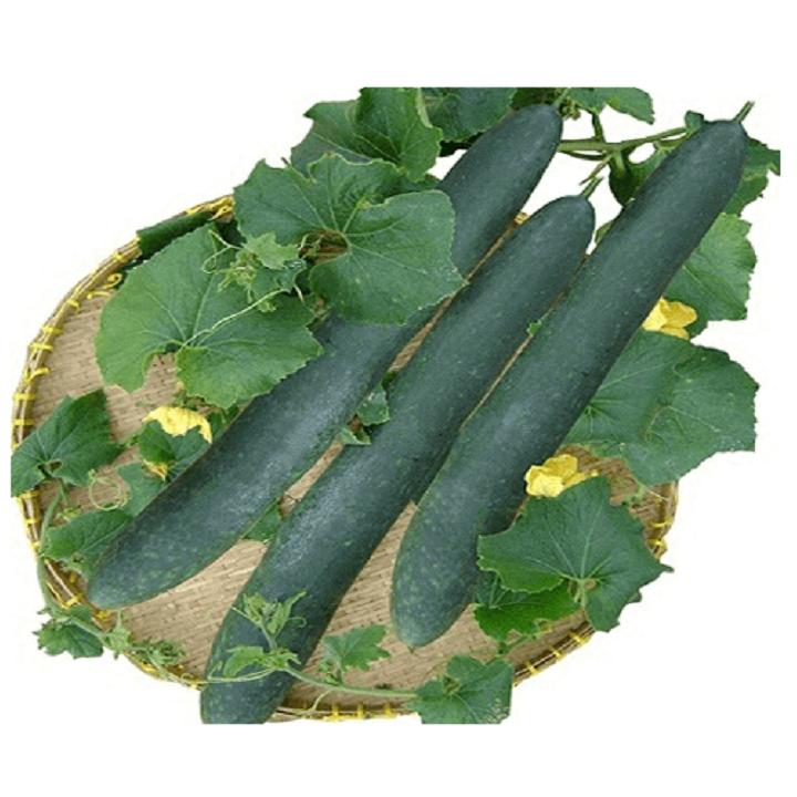 Hạt giống bí sặt - bí xanh cao sản gói 2gram xuất xứ Việt Nam