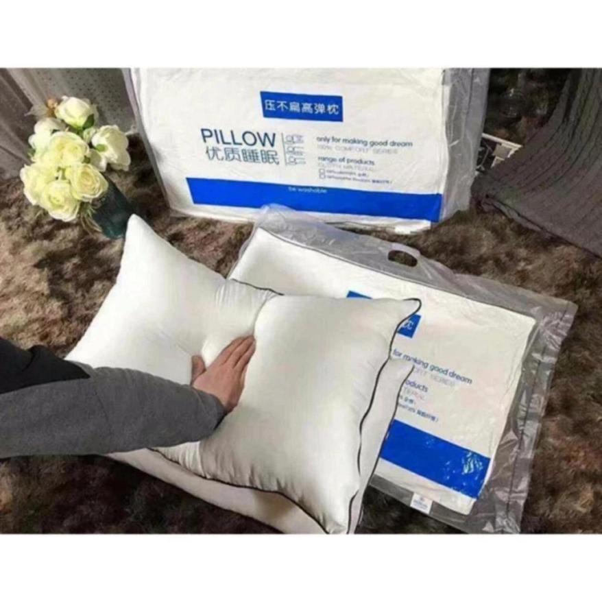 Bộ 2 ruột gối nằm Hilton 50 x 70cm
