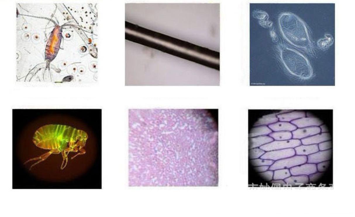 BỘ KÍNH HIỂN VI TRẺ EM MICROSCOPE