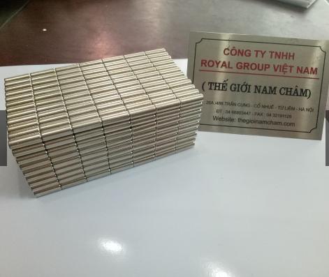 80 viên nam châm 4*20mm