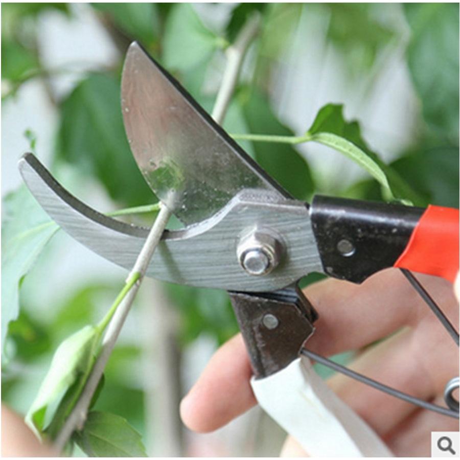 Kéo Cắt Tỉa Cành Cây Đa Năng, Độ Cứng Cao So Với Kéo Thông Thường 55-59 HRC