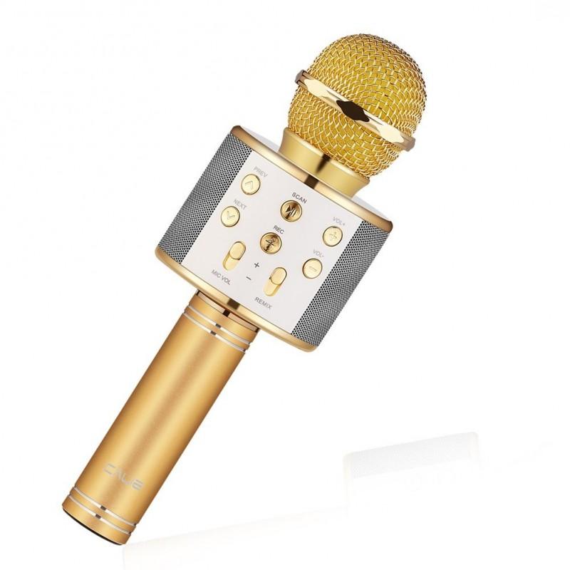 Mic Kèm Loa Bluetooth WS - 858 hát karaoke