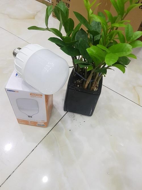  BÓNG ĐÈ BÚP NLB306 30W ÁNH SÁNG TRẮNG [ 1 THÙNG 12 CÁI]