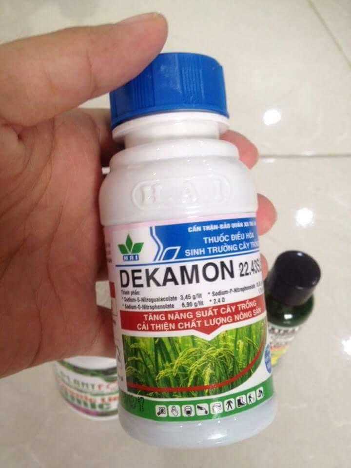 DEKAMON CHO LAN – SIÊU TĂNG TRƯỞNG