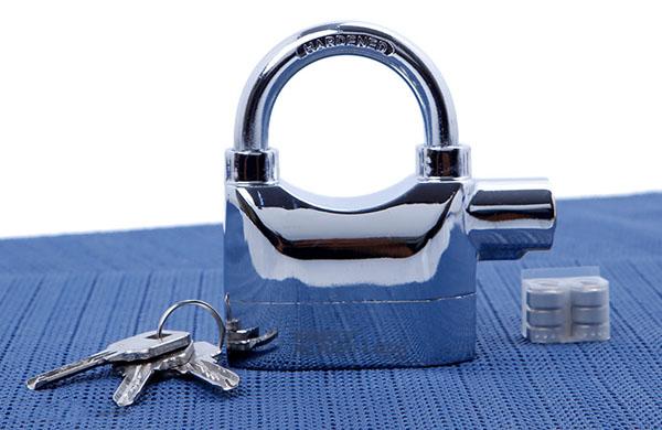 Bộ 2 Khóa Chống Chộm Có Còi Báo Động (Đen)