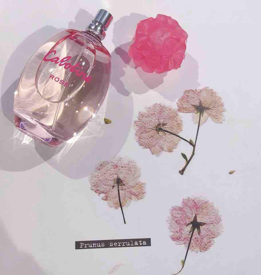 [HCM]Nước hoa Cabotine Rose 100ml