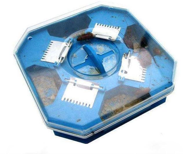 [HCM]HỘP BẮT GIÁN THÔNG MINH CA430