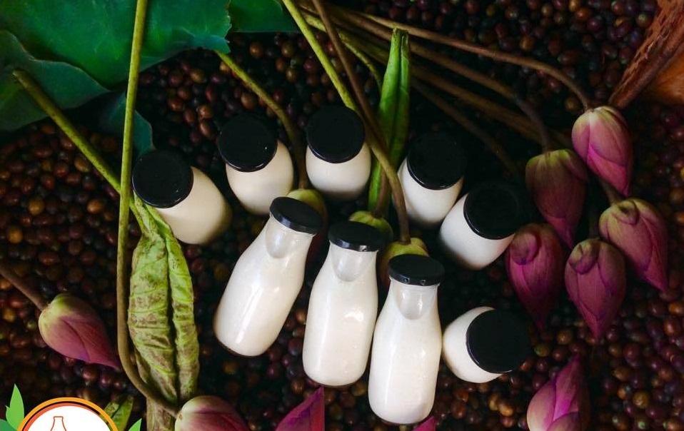 Combo 6 chai thủy tinh đựng sữa nắp thiếc 300ml (Màu sắc nắp giao ngẫu nhiên)