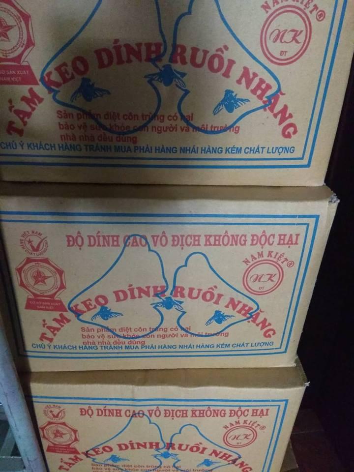 500 tấm keo dính ruồi đẹp ( nửa thùng )