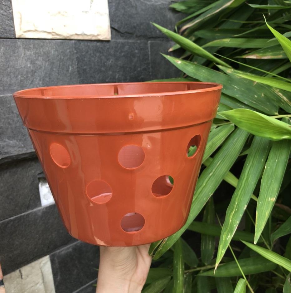 Bộ 5 chậu lan giả đất nung đường kính miệng 20cm