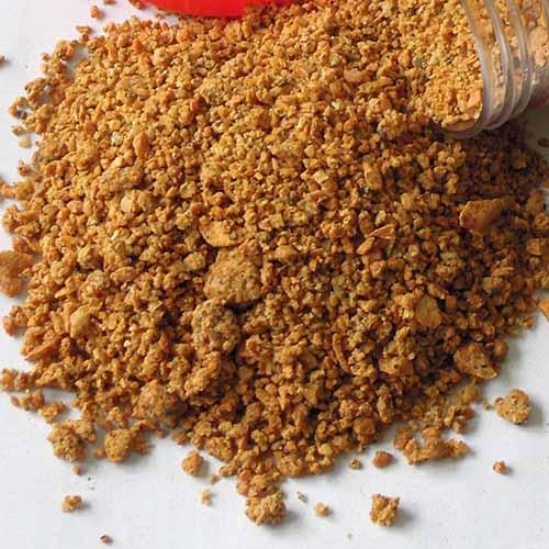 500g muối Tôm Tây Ninh dạng hạt ngon_TiTiMart