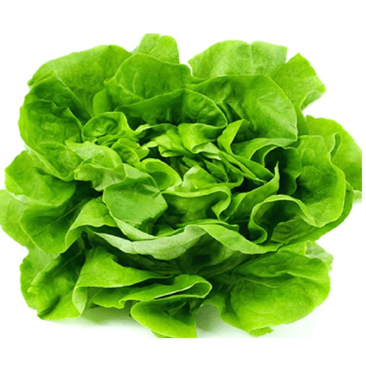 Hạt giống xà lách Đăm cao sản F1 gói 2gr xuất xứ Việt Nam