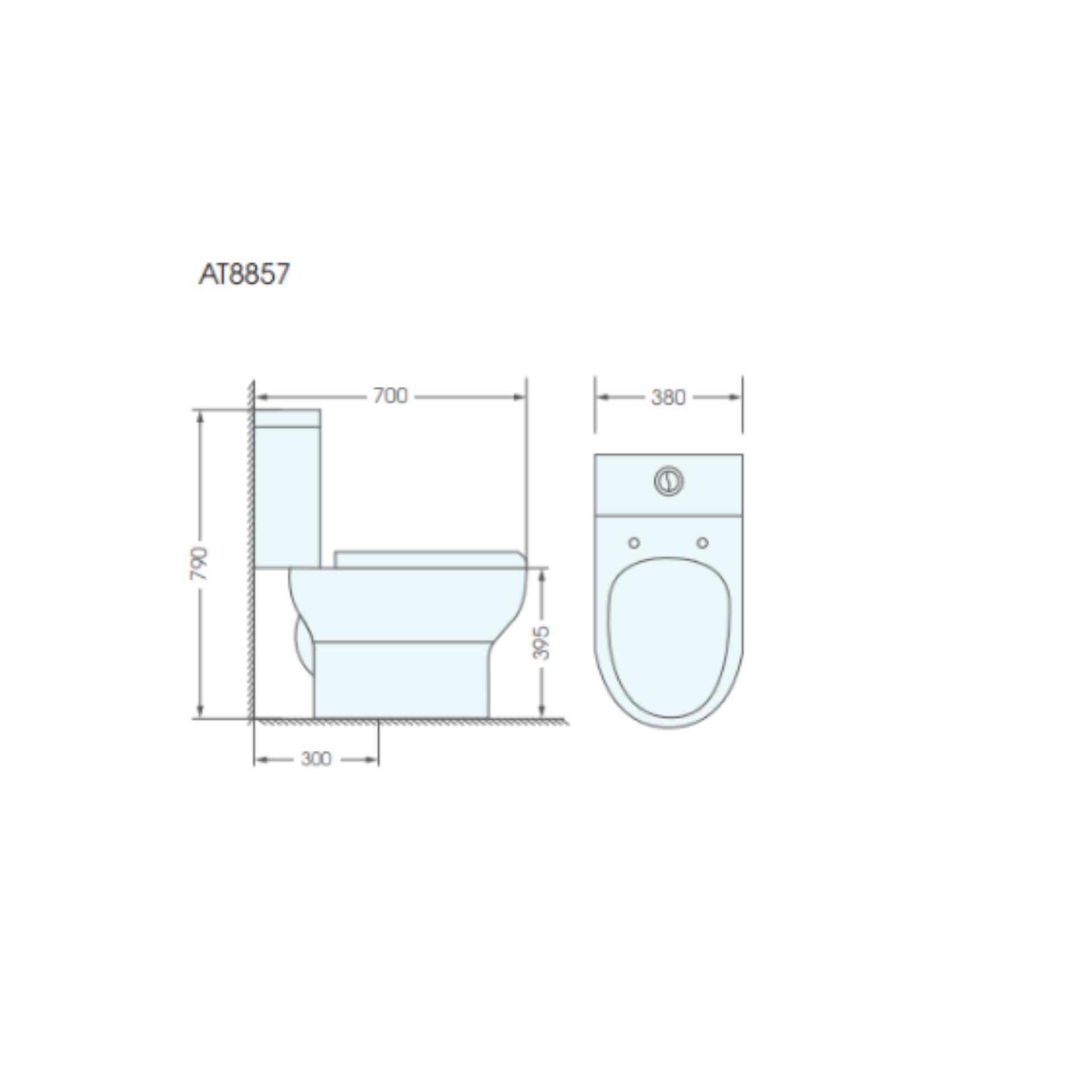 Bồn cầu 2 khối ATMOR Model: AT8857 chống nứt và chống thẩm thấu theo tiêu chuẩn Châu Âu , thiết kế sang trọng và hiện đại