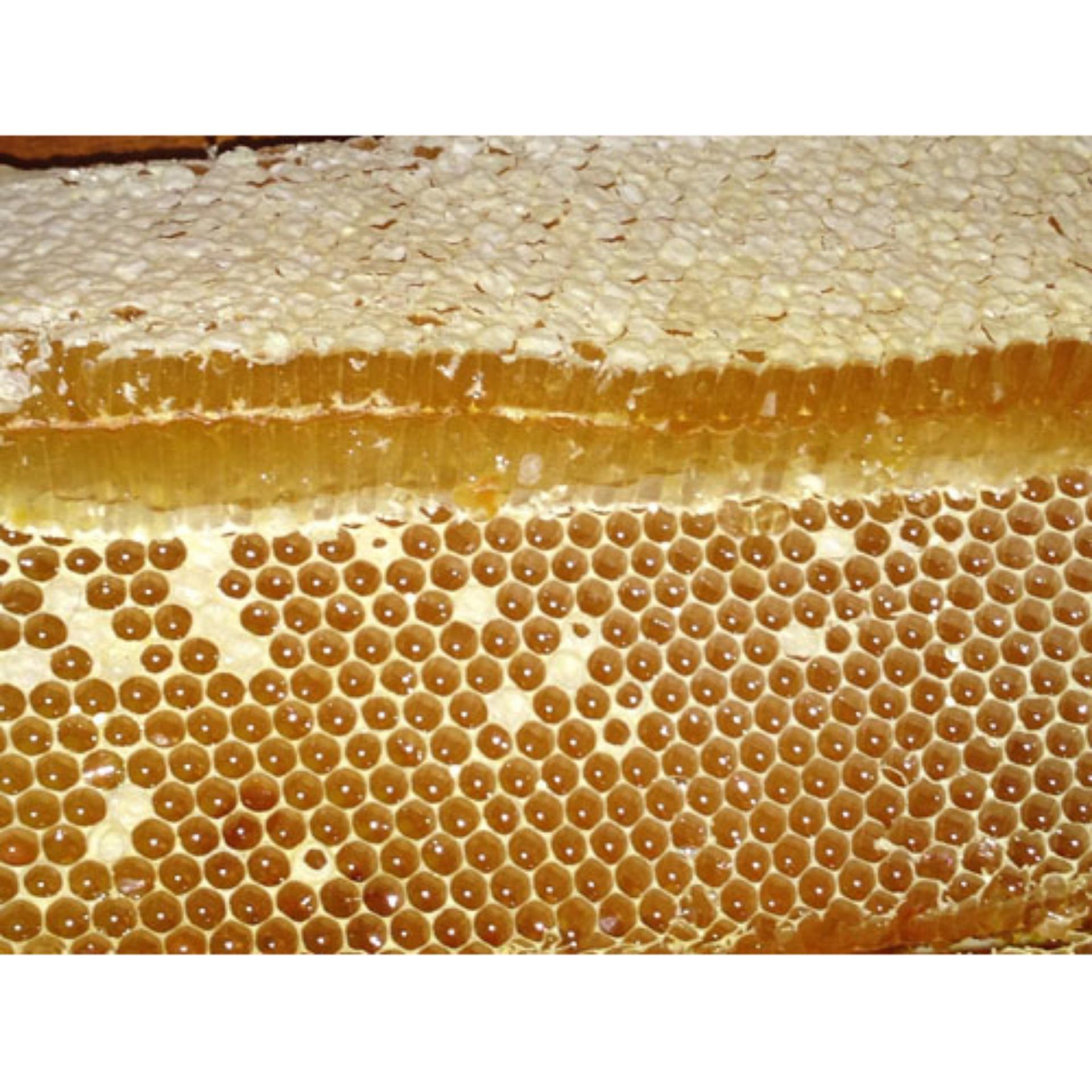 Bộ 2 Hũ Mật Ong Gừng 650gr