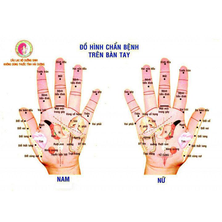[HCM]Thanh dò cào Diện chẩn