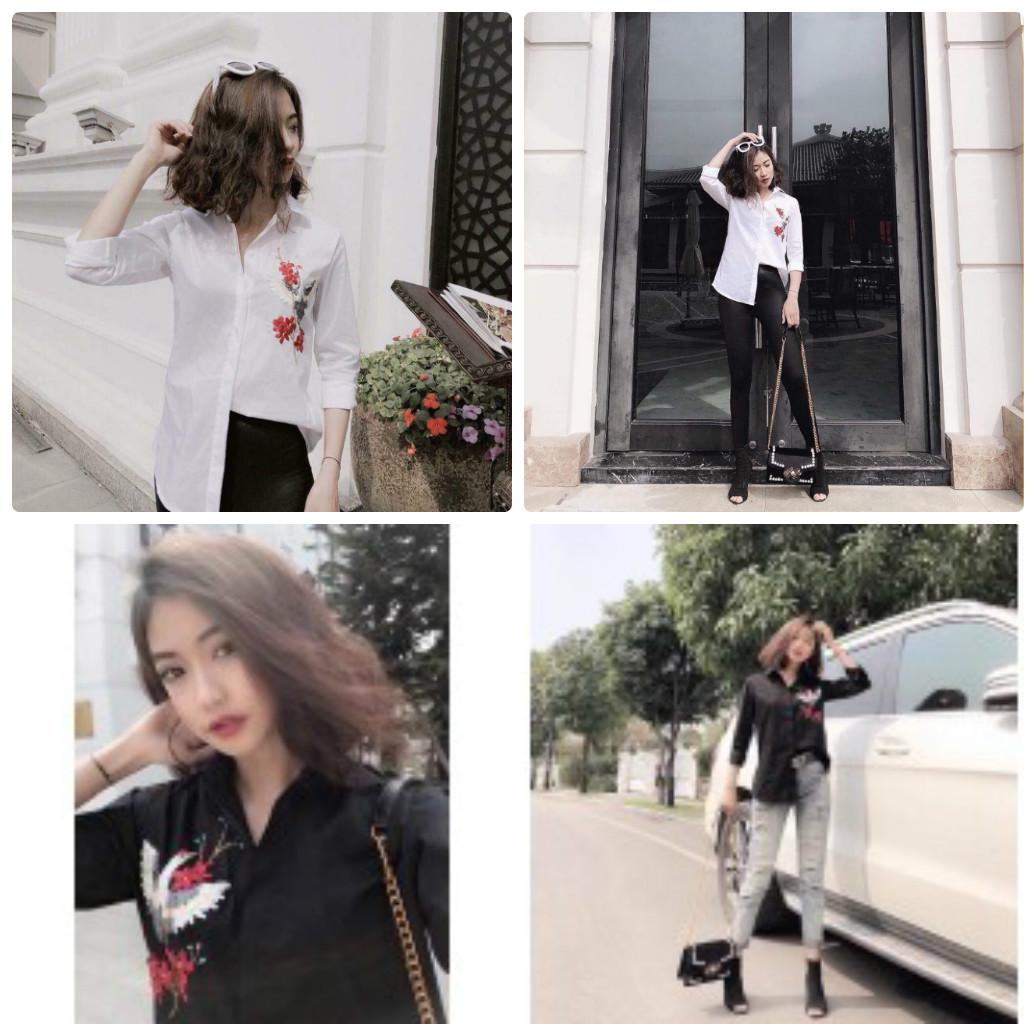 Áo sơ mi trắng thuê chim công