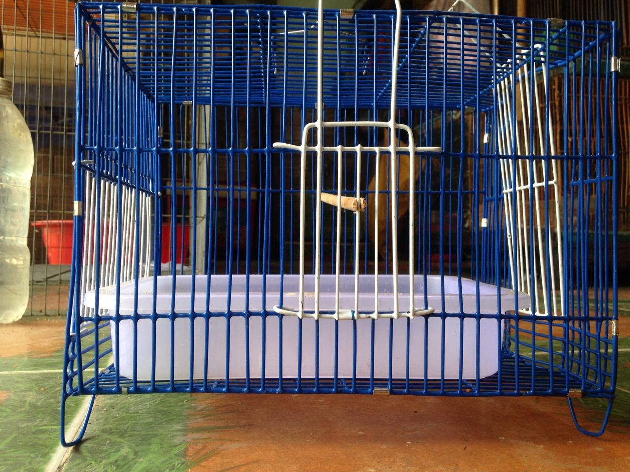 LỒNG TẮM 25*20