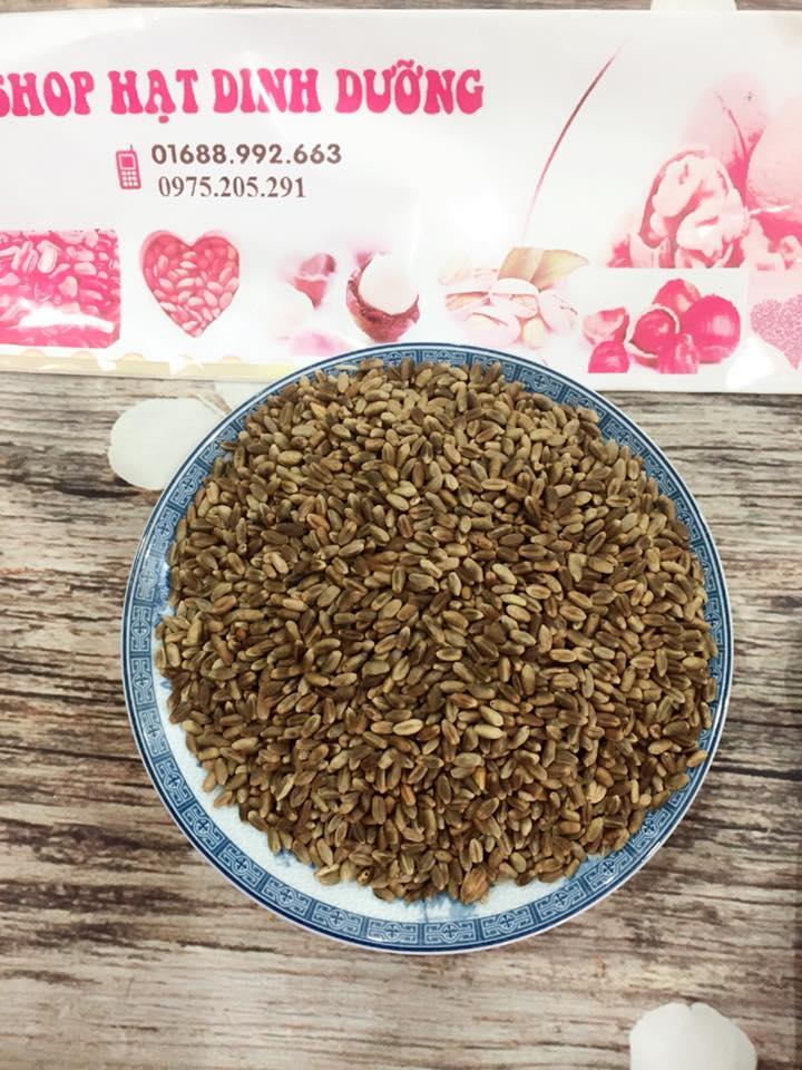 Trà lúa mạch thơm ngon 1Kg