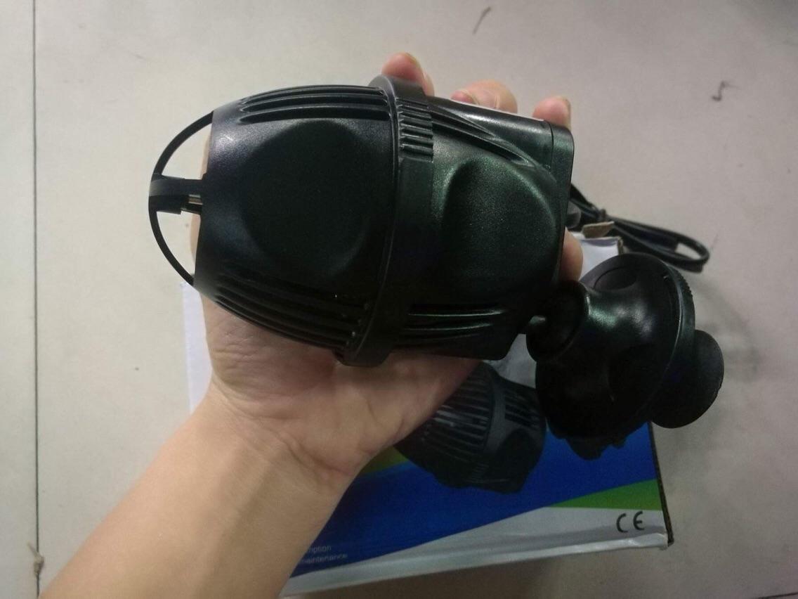 [HCM]Máy thổi luồng hồ cá 6W