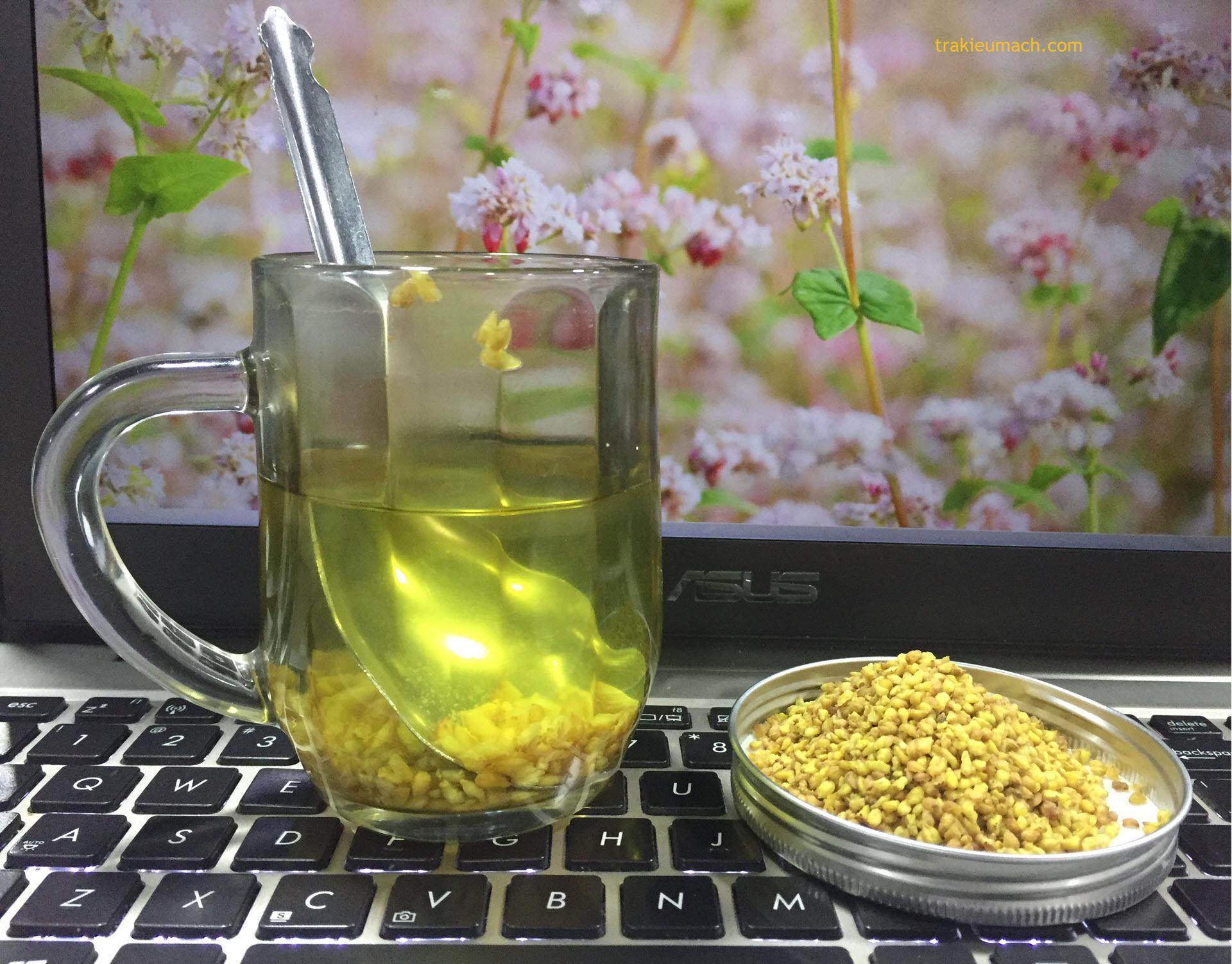 Trà Tam giác mạch (Trà Kiều mạch, Buckwheat Tea)