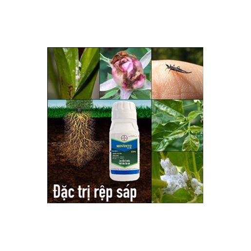 Trừ Rệp sáp, bọ trĩ (bù lạch) thế hệ mới MOVENTO 150OD