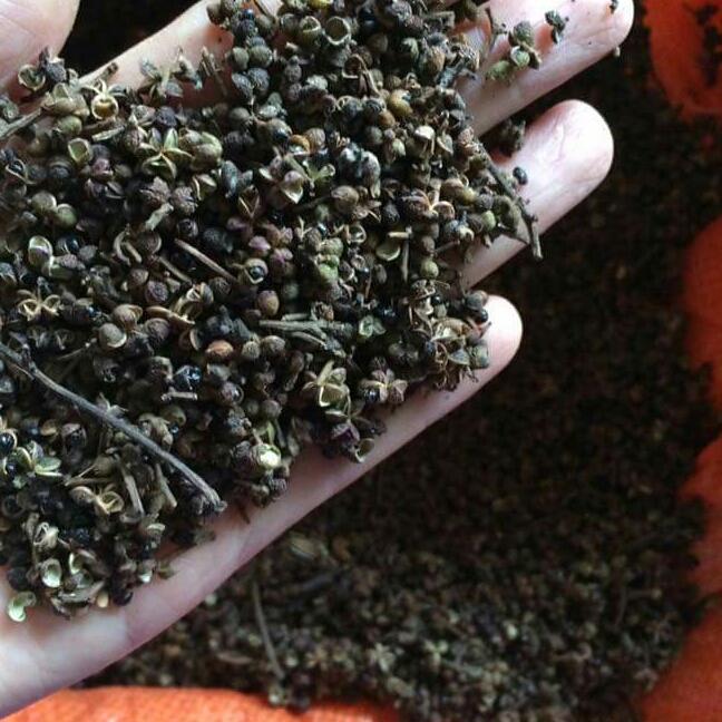 Mắc khén rừng 1kg