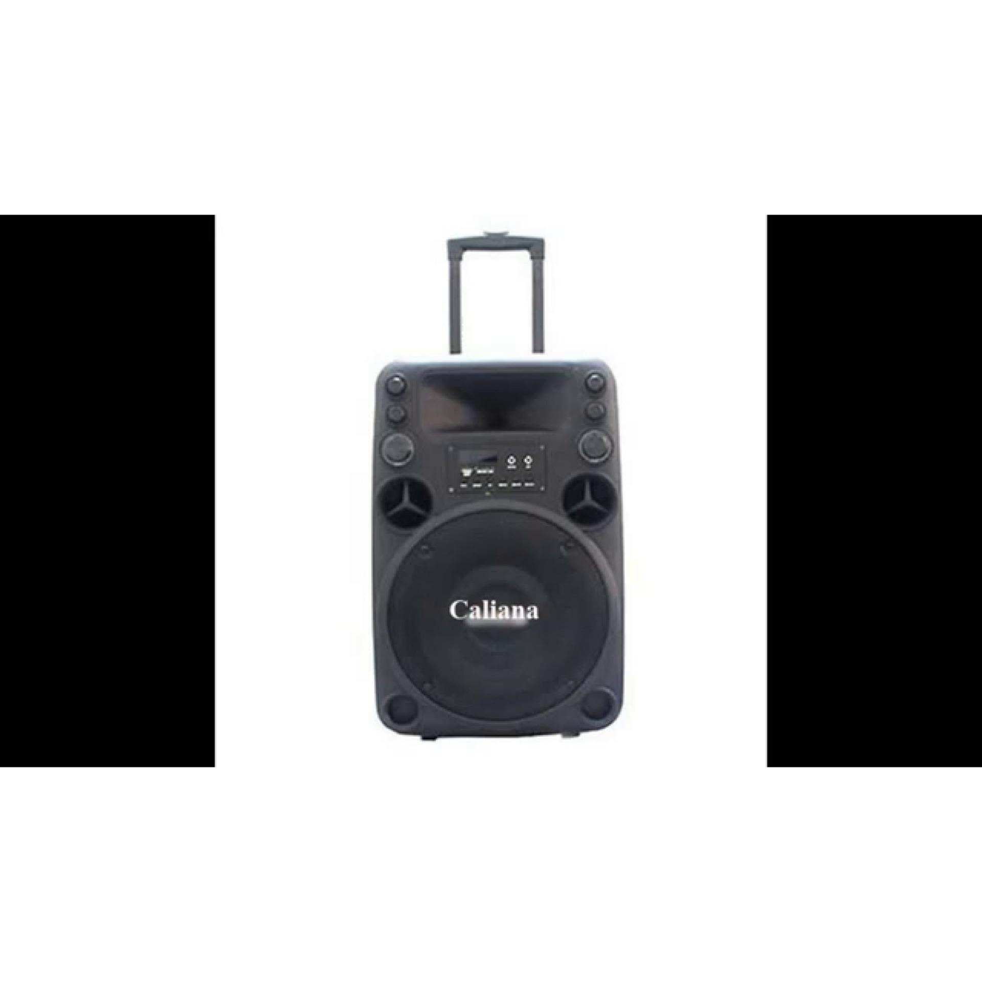 [HCM]Loa kéo caliana Electronics T012 - 3 tấc (Đen)