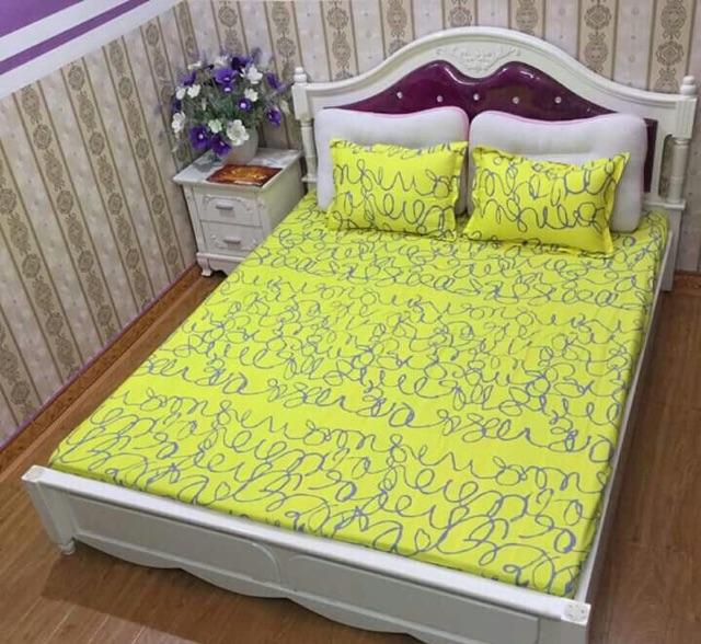 Bộ ga chun & gối cotton poly họa tiết 2.2x2m