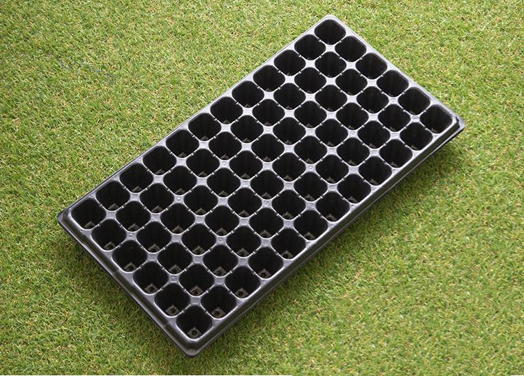 Bộ 5 khay ươm hạt giống 72 lỗ