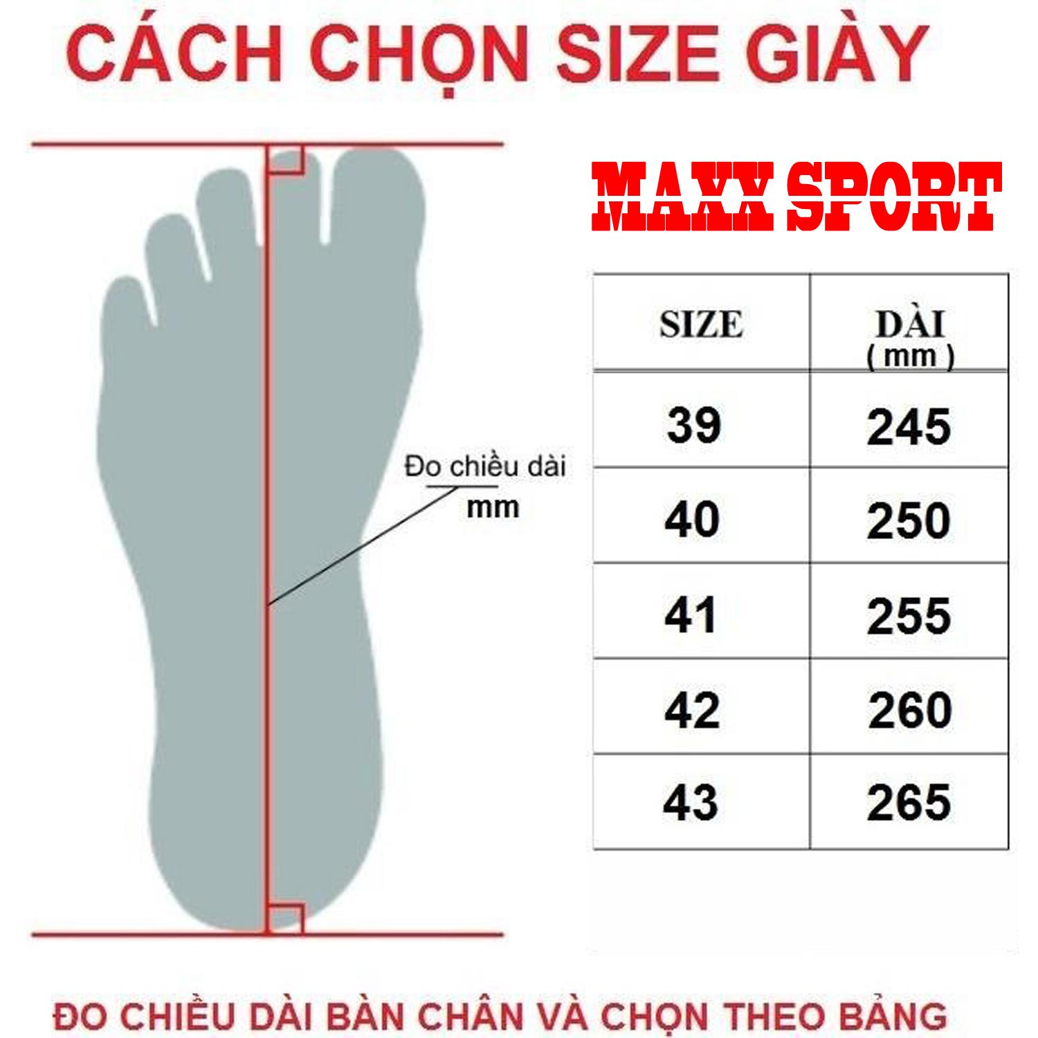 Giày thể thao, giày Sneaker nam FT069