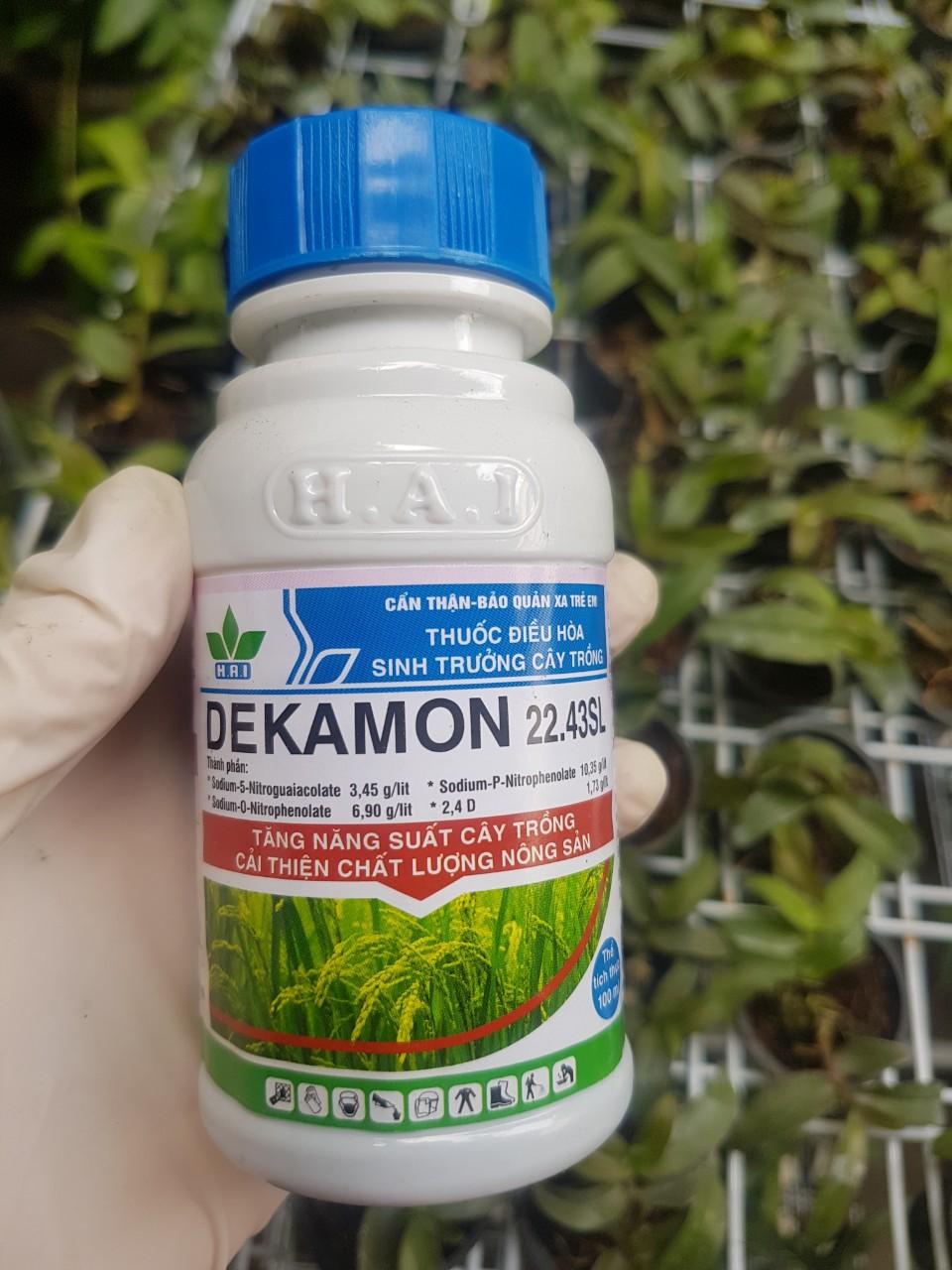 DEKAMON CHO LAN – SIÊU TĂNG TRƯỞNG