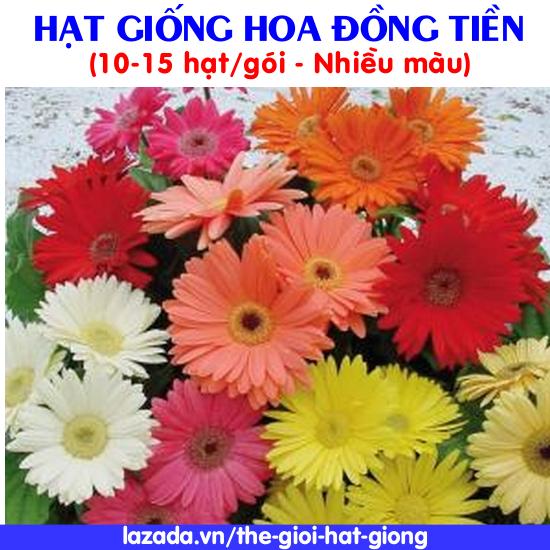 [Lấy mã giảm thêm 30%] Hạt giống hoa Đồng Tiền nhiều màu (10-15 hạt)