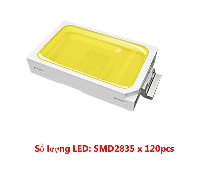 COMBO 3 ĐÈN LED CHUYÊN DỤNG CÔNG SUẤT 100W