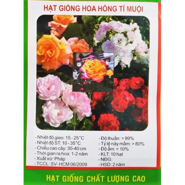 [HCM] Hạt Giống Hoa Hồng Tỷ Muội Pháp - KLT 10 hạt
