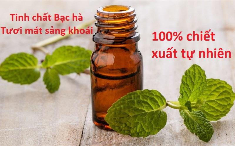 Tinh dầu Bạc hà tự nhiên lọ 10ml