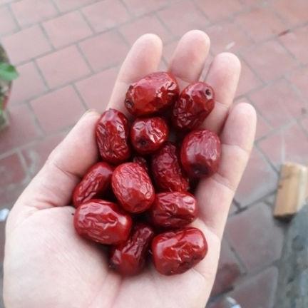 Táo đỏ khô Hàn Quốc 100g ăn thử